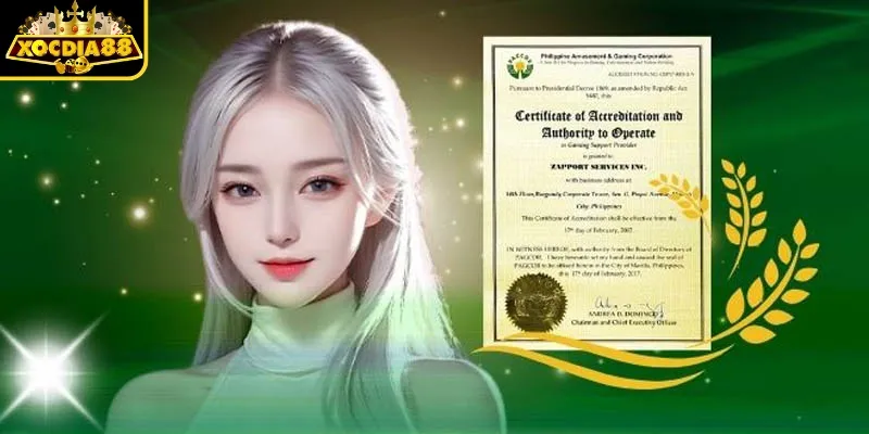 Cách nhận biết nền tảng 